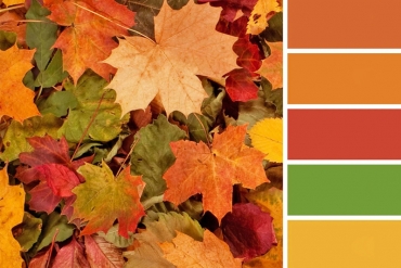 بهترین پالت‌های رنگی ترند پاییز سال 2023 – بخش دوم